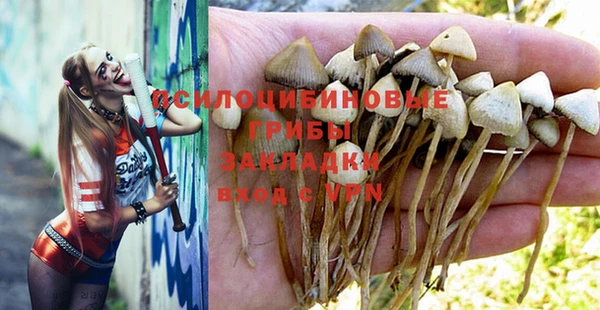 винт Алексеевка
