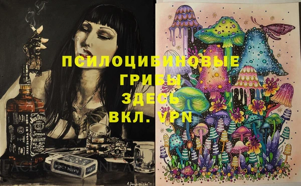 гашик Пестово