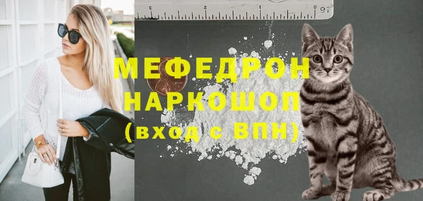 гашик Пестово